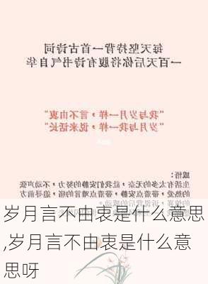 岁月言不由衷是什么意思,岁月言不由衷是什么意思呀