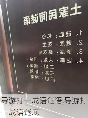 导游打一成语谜语,导游打一成语谜底