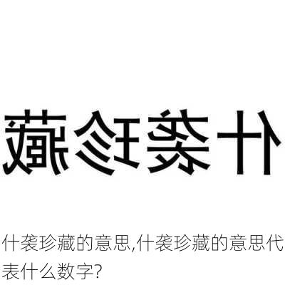 什袭珍藏的意思,什袭珍藏的意思代表什么数字?