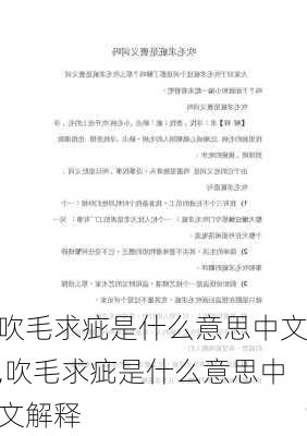 吹毛求疵是什么意思中文,吹毛求疵是什么意思中文解释