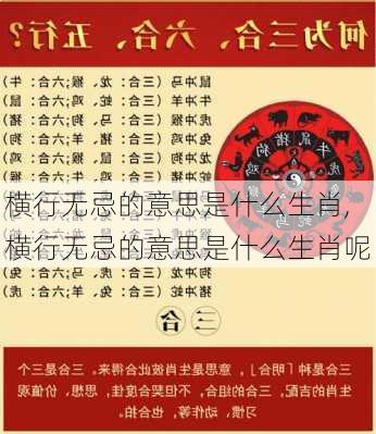 横行无忌的意思是什么生肖,横行无忌的意思是什么生肖呢