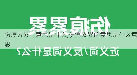 伤痕累累的意思是什么,伤痕累累的意思是什么意思