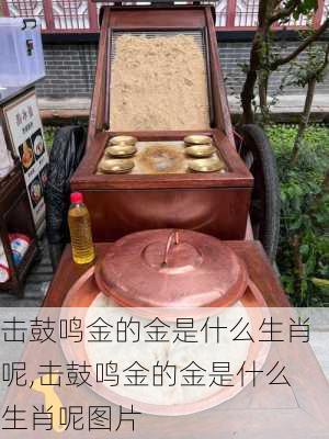 击鼓鸣金的金是什么生肖呢,击鼓鸣金的金是什么生肖呢图片