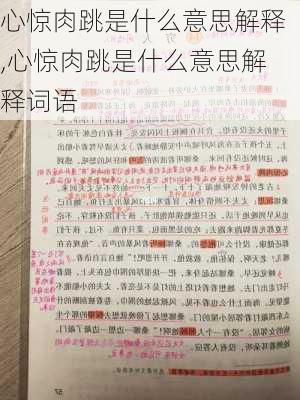 心惊肉跳是什么意思解释,心惊肉跳是什么意思解释词语