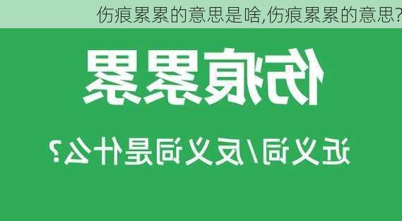 伤痕累累的意思是啥,伤痕累累的意思?