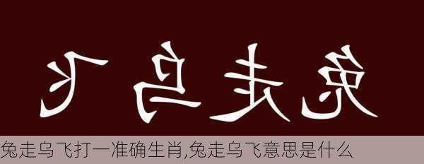 兔走乌飞打一准确生肖,兔走乌飞意思是什么