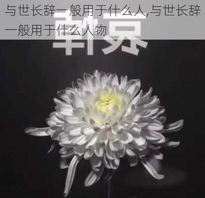 与世长辞一般用于什么人,与世长辞一般用于什么人物