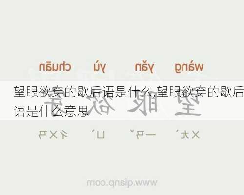 望眼欲穿的歇后语是什么,望眼欲穿的歇后语是什么意思