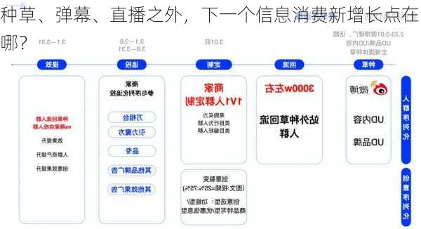 种草、弹幕、直播之外，下一个信息消费新增长点在哪？