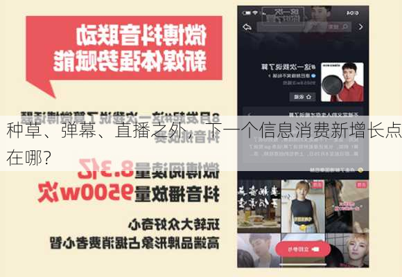 种草、弹幕、直播之外，下一个信息消费新增长点在哪？