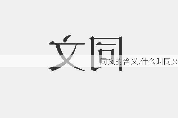 同文的含义,什么叫同文