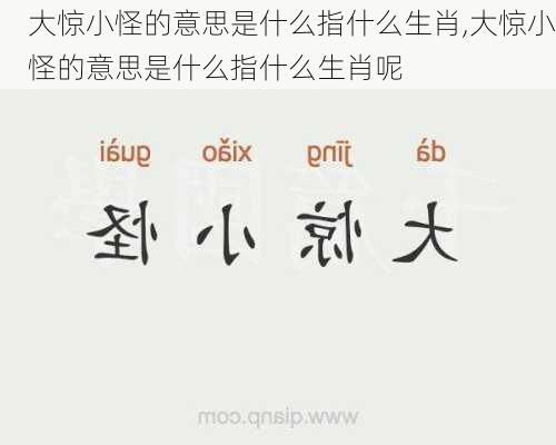 大惊小怪的意思是什么指什么生肖,大惊小怪的意思是什么指什么生肖呢