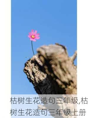 枯树生花造句三年级,枯树生花造句三年级上册