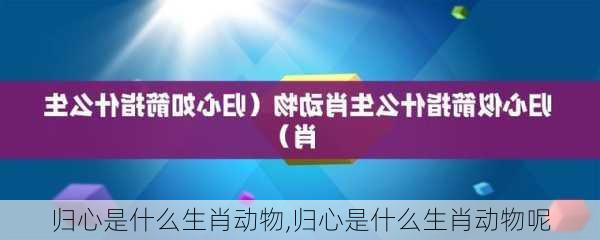 归心是什么生肖动物,归心是什么生肖动物呢