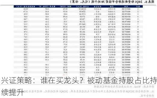 兴证策略：谁在买龙头？被动基金持股占比持续提升