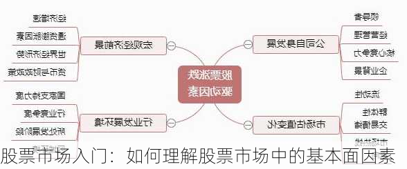 股票市场入门：如何理解股票市场中的基本面因素