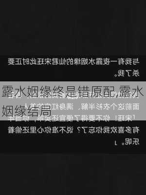 露水姻缘终是错原配,露水姻缘结局