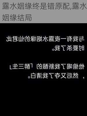 露水姻缘终是错原配,露水姻缘结局