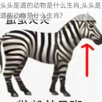 头头是道的动物是什么生肖,头头是道的动物是什么生肖?