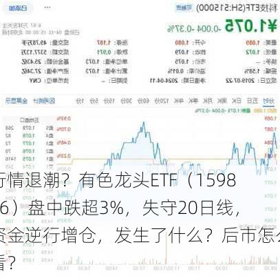 行情退潮？有色龙头ETF（159876）盘中跌超3%，失守20日线，资金逆行增仓，发生了什么？后市怎么看？