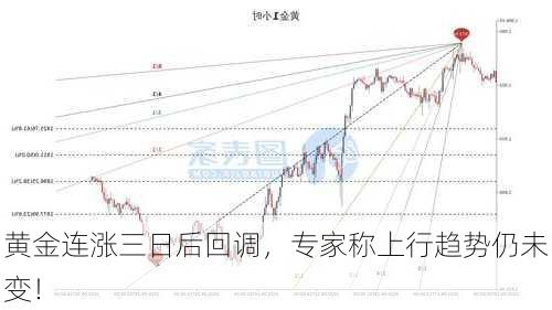 黄金连涨三日后回调，专家称上行趋势仍未变！