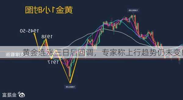 黄金连涨三日后回调，专家称上行趋势仍未变！