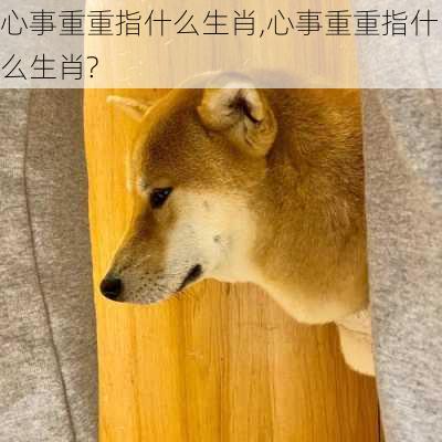 心事重重指什么生肖,心事重重指什么生肖?