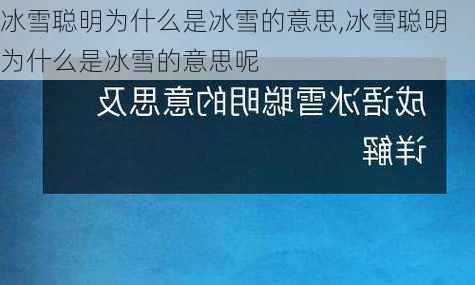 冰雪聪明为什么是冰雪的意思,冰雪聪明为什么是冰雪的意思呢