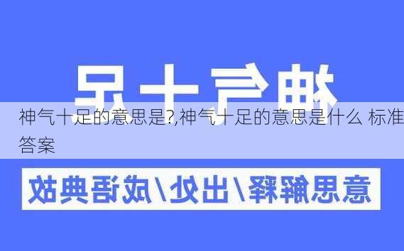 神气十足的意思是?,神气十足的意思是什么 标准答案