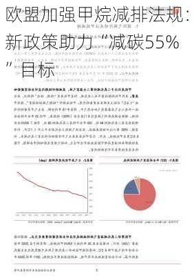 欧盟加强甲烷减排法规：新政策助力“减碳55%”目标