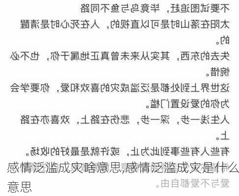 感情泛滥成灾啥意思,感情泛滥成灾是什么意思