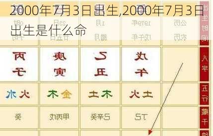 2000年7月3日出生,2000年7月3日出生是什么命