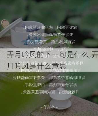 弄月吟风的下一句是什么,弄月吟风是什么意思