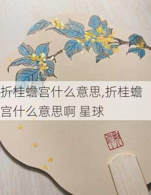 折桂蟾宫什么意思,折桂蟾宫什么意思啊 星球