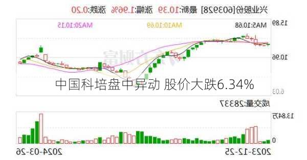 中国科培盘中异动 股价大跌6.34%