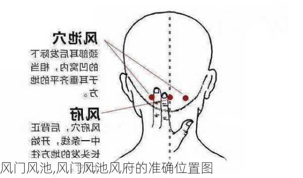 风门风池,风门风池风府的准确位置图