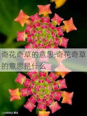 奇花奇草的意思,奇花奇草的意思是什么