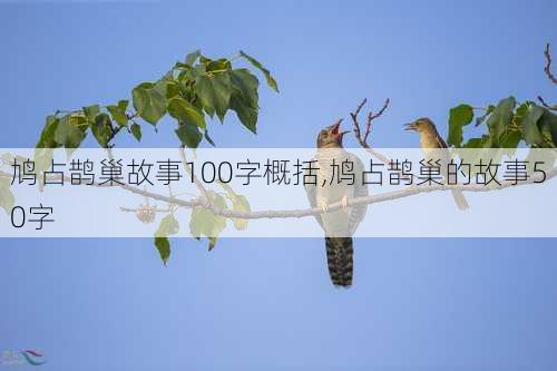 鸠占鹊巢故事100字概括,鸠占鹊巢的故事50字