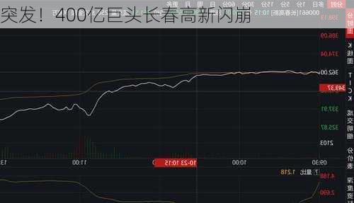 突发！400亿巨头长春高新闪崩