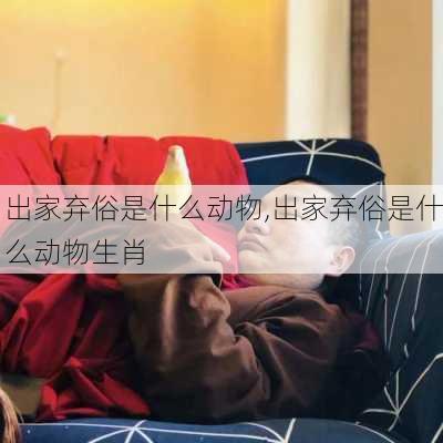 出家弃俗是什么动物,出家弃俗是什么动物生肖