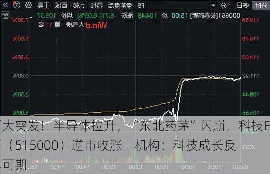 两大突发！半导体拉升，“东北药茅”闪崩，科技ETF（515000）逆市收涨！机构：科技成长反弹可期