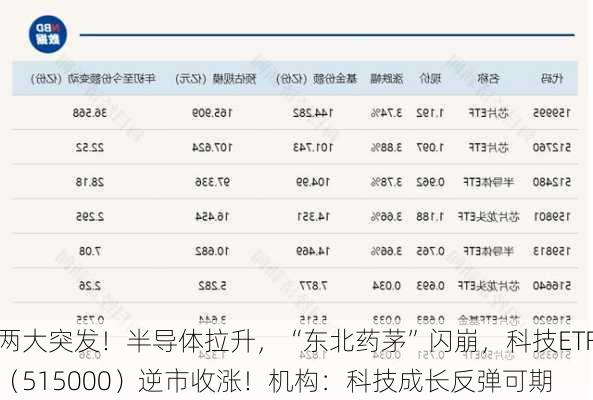 两大突发！半导体拉升，“东北药茅”闪崩，科技ETF（515000）逆市收涨！机构：科技成长反弹可期