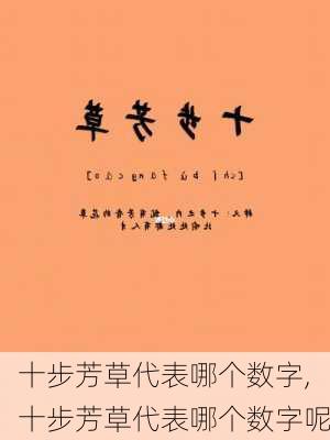 十步芳草代表哪个数字,十步芳草代表哪个数字呢