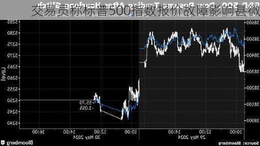 交易员称标普500指数报价故障影响甚微