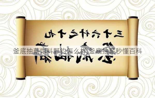 釜底抽薪饵料野钓怎么样,釜底抽薪秒懂百科