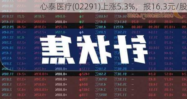 心泰医疗(02291)上涨5.3%，报16.3元/股