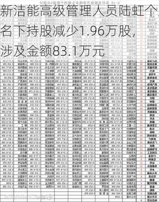 新洁能高级管理人员陆虹个人名下持股减少1.96万股，涉及金额83.1万元