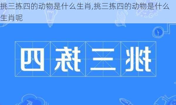 挑三拣四的动物是什么生肖,挑三拣四的动物是什么生肖呢