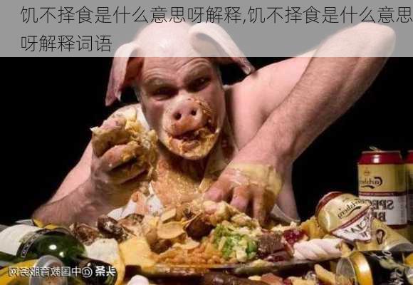 饥不择食是什么意思呀解释,饥不择食是什么意思呀解释词语