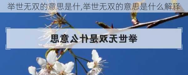 举世无双的意思是什,举世无双的意思是什么解释